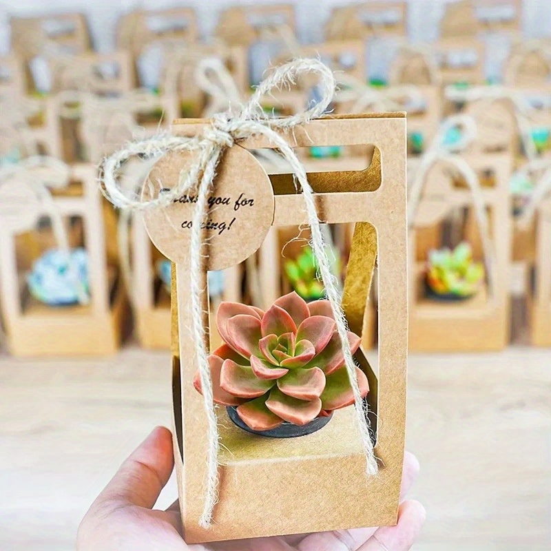 10Set Succulent Wrap Gift Bags - Flower Wrap Kraft review and price